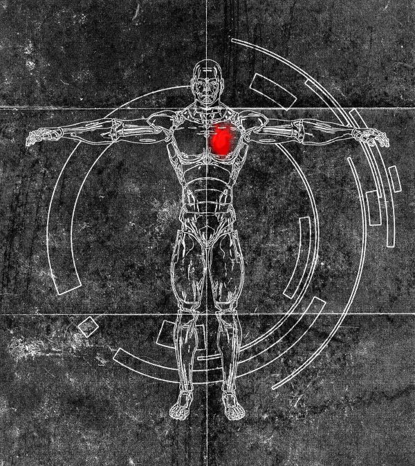 Фото с сайта pixabay.com