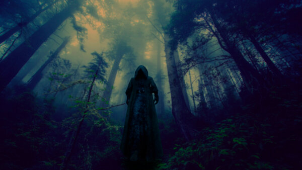 Фото с сайта pixabay.com