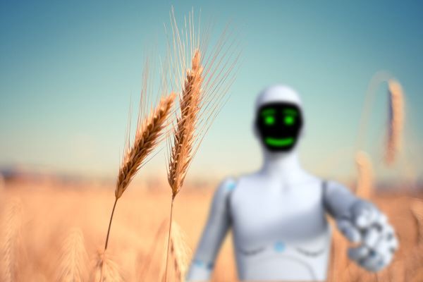 Фото с сайта pixabay.com