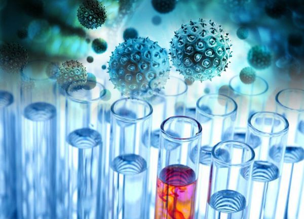 Коллаж автора